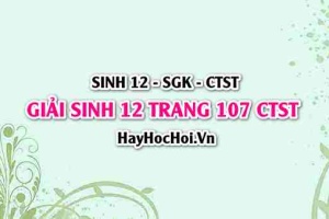 Giải Sinh 12 trang 107 Chân trời sáng tạo SGK